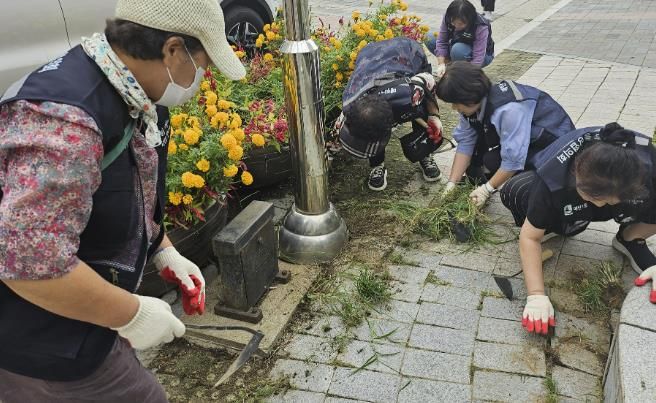수원시 영통구 매탄1동, 관내 잡초 제거 활동 실시