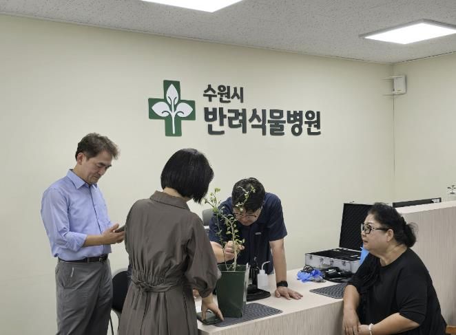 수원시 반려식물병원과 국제사이버대학교 관계자가 반려 식물을 진료하고 있다.