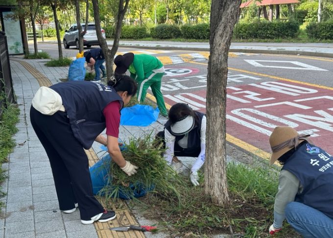 수원시 영통구 망포2동, 추석맞이 대청소 및 잡초제거 실시