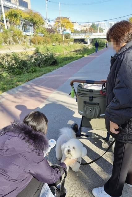 수원시 권선구, 동물등록 집중단속 및 공공장소 지도·단속 실시
