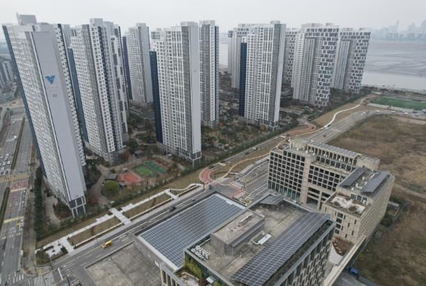 서울대 시흥캠퍼스(우측)와 아파트 사이 부지에 조성된 배곧 도시숲 전경