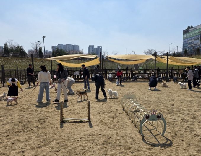 평택시 동삭동 '슬기로운 펫티켓 생활 및 동행' 프로그램 추진으로 반려 문화 인식 제고 기대